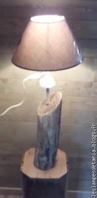 une autre lampe avec un seul bois flotté