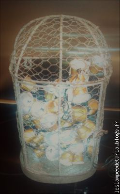 Guirlande lumineuse en capsules dans une cage
